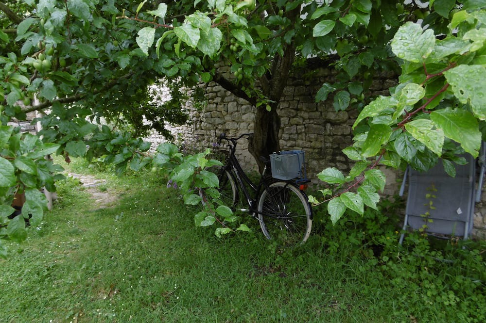 Photo of Outdoor in Nieul-sur-Mer
