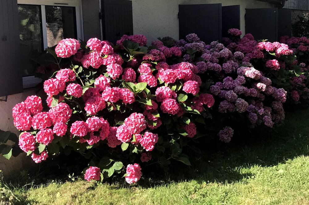 Photo of Outdoor in Laruscade