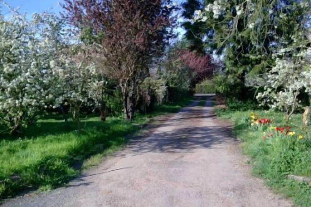 Photo of Outdoor in Saint-Martin-de-Fontenay