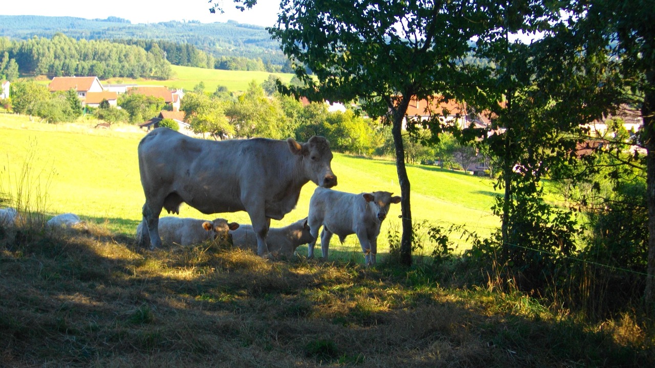 Photo of Outdoor in Menil-de-Senones