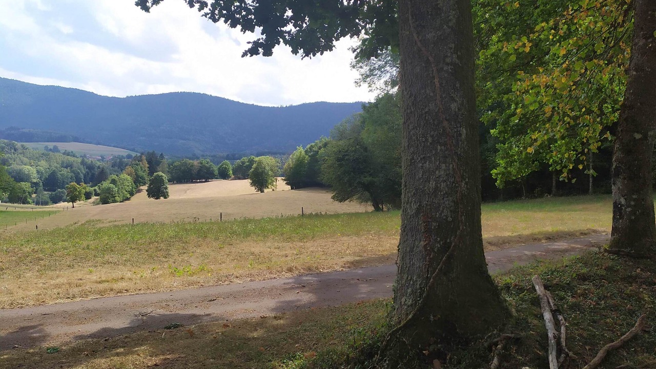 Photo of Outdoor in Menil-de-Senones