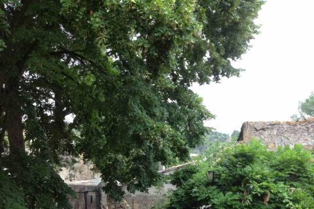 Photo of Others in Lagrasse