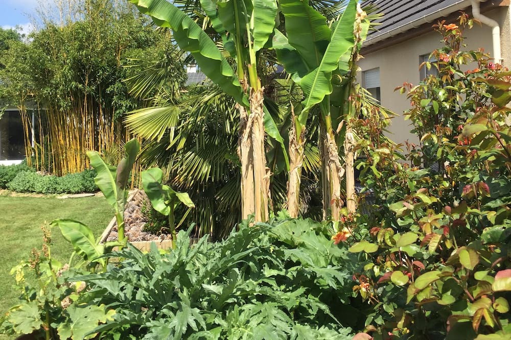 Photo of Outdoor in Touville