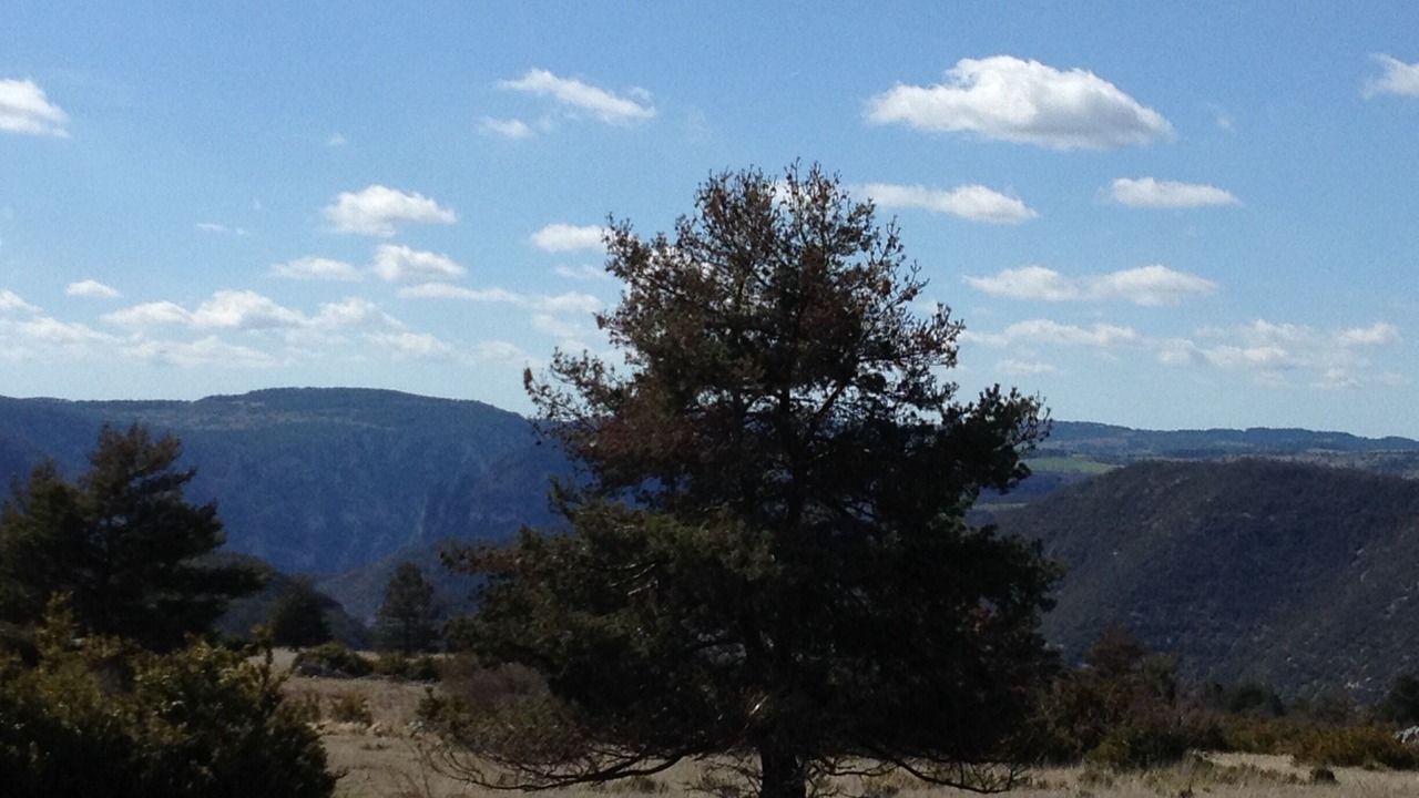Photo of Outdoor in Mas-Saint-Chely