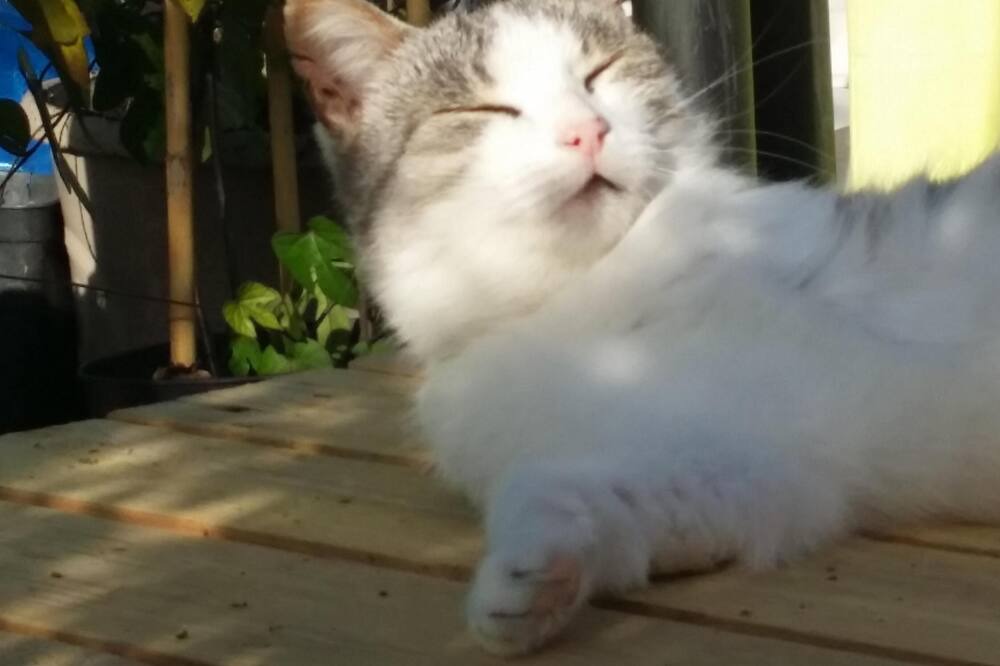 Photo of Outdoor in Servas