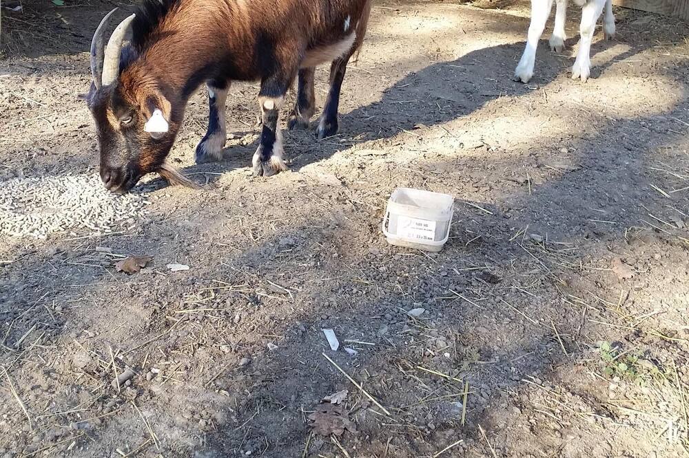 Photo of Outdoor in Servas