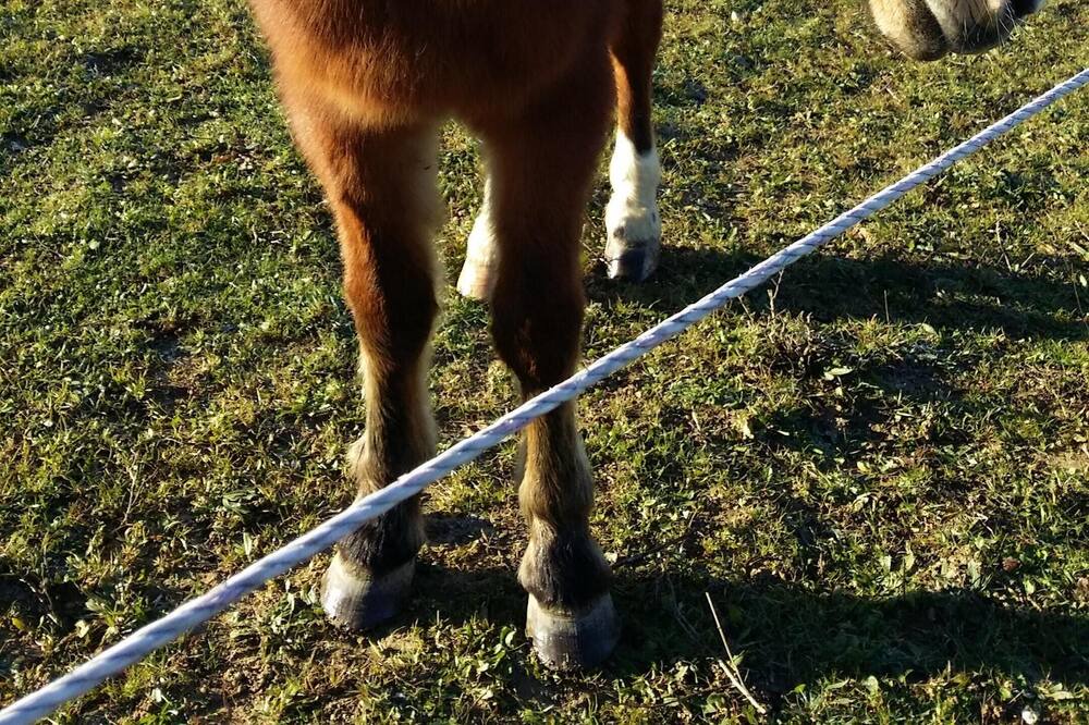 Photo of Outdoor in Servas