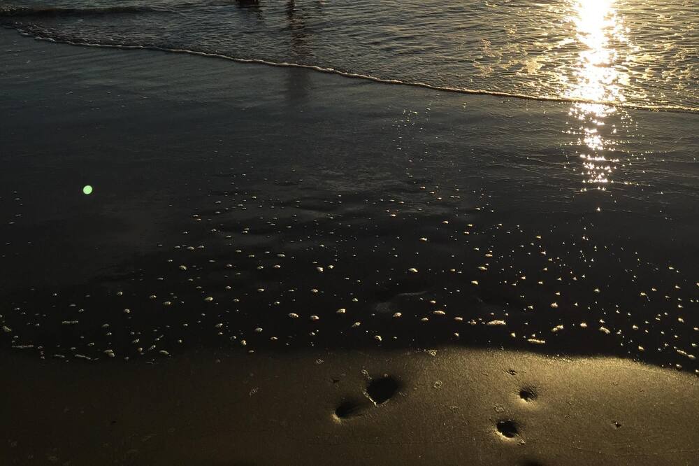 Photo of Others in Saint-Brevin-l'Ocean
