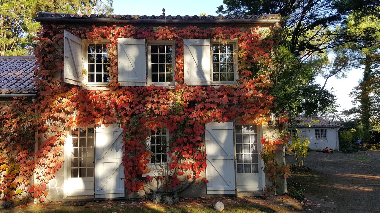 Photo of Outdoor in Les Moutiers-en-Retz