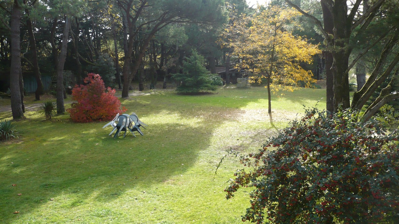 Photo of Outdoor in Les Moutiers-en-Retz