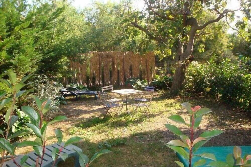 Photo of Outdoor in Argeles-sur-Mer
