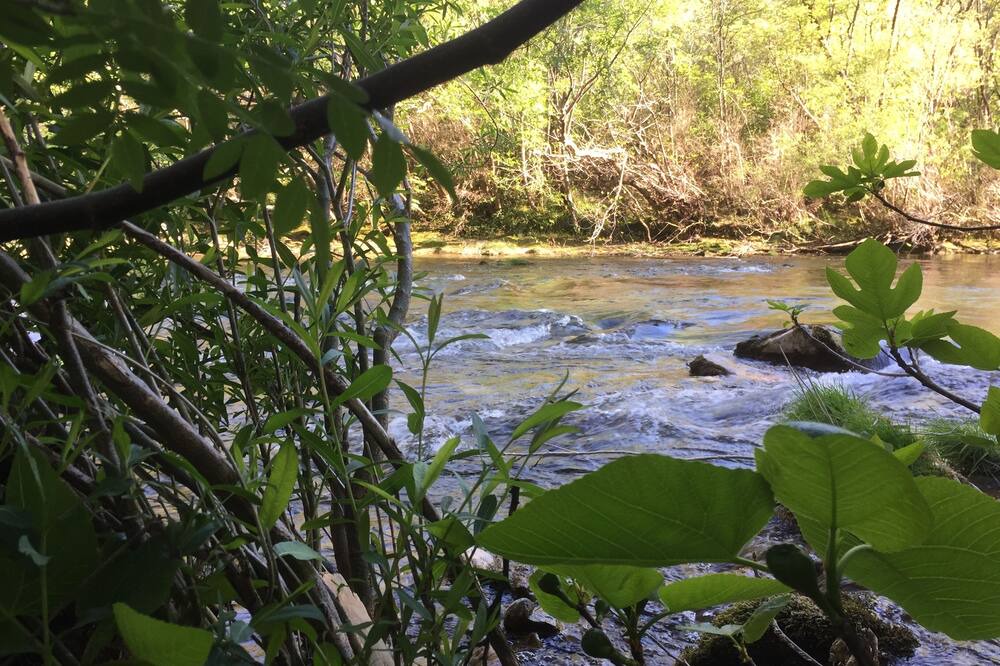 Photo of Outdoor in Gornies