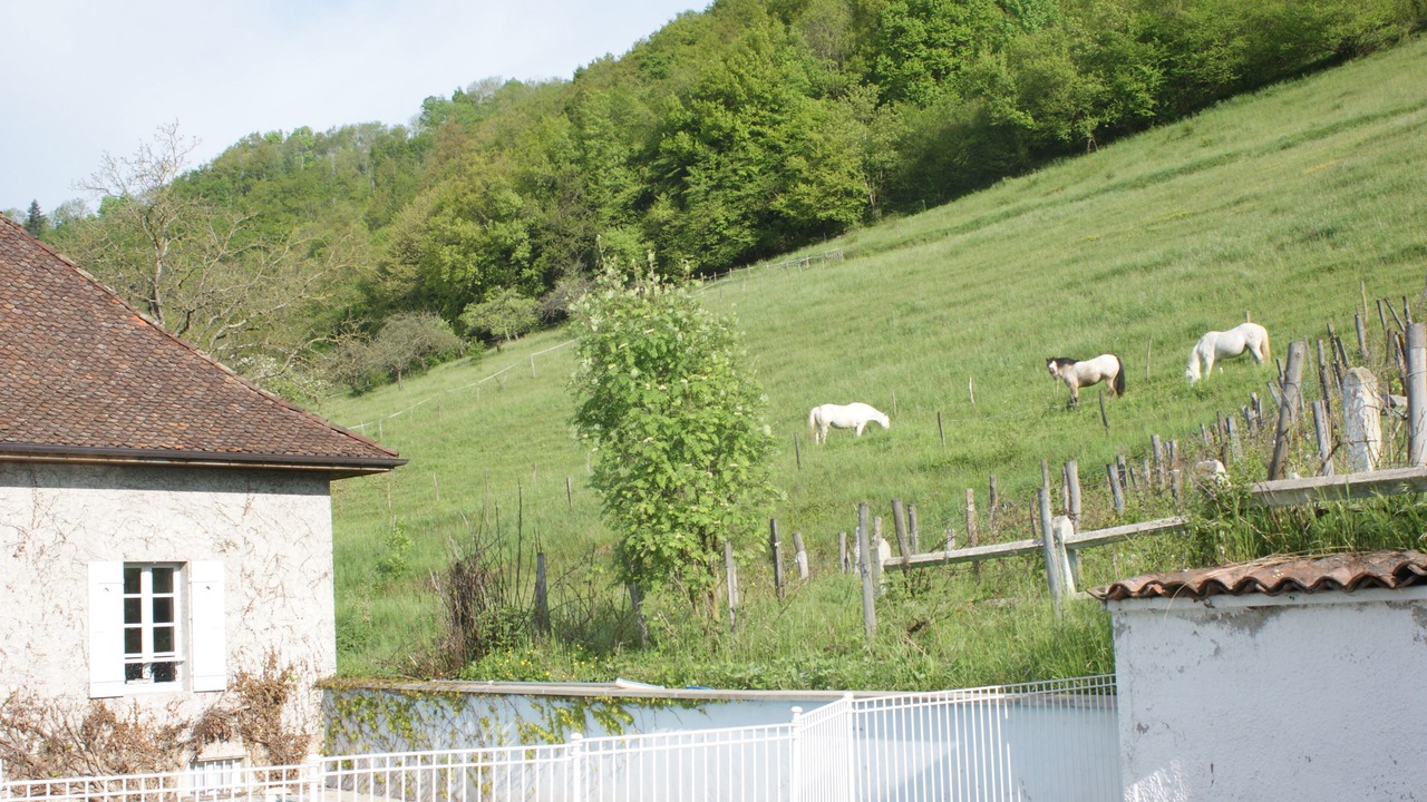 Photo of Outdoor in Saint-Geoire-en-Valdaine