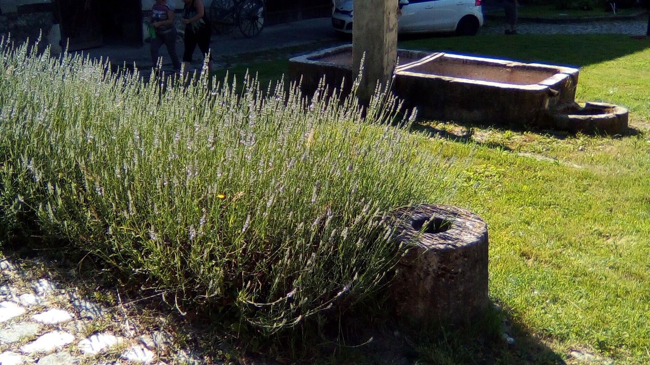 Photo of Outdoor in Saint-Geoire-en-Valdaine