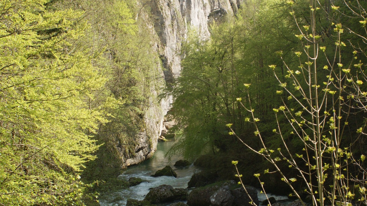 Photo of Outdoor in Saint-Geoire-en-Valdaine