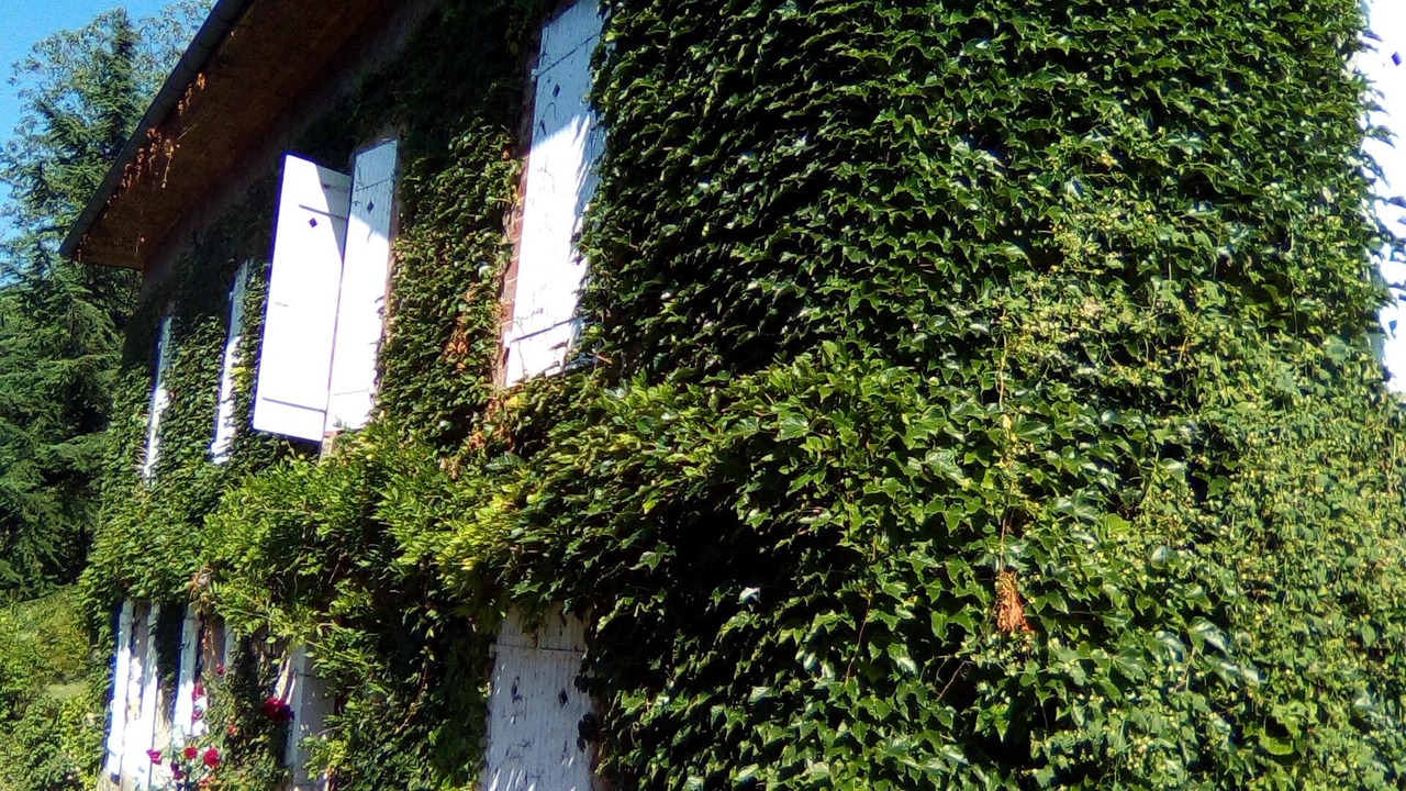 Photo of Outdoor in Saint-Geoire-en-Valdaine