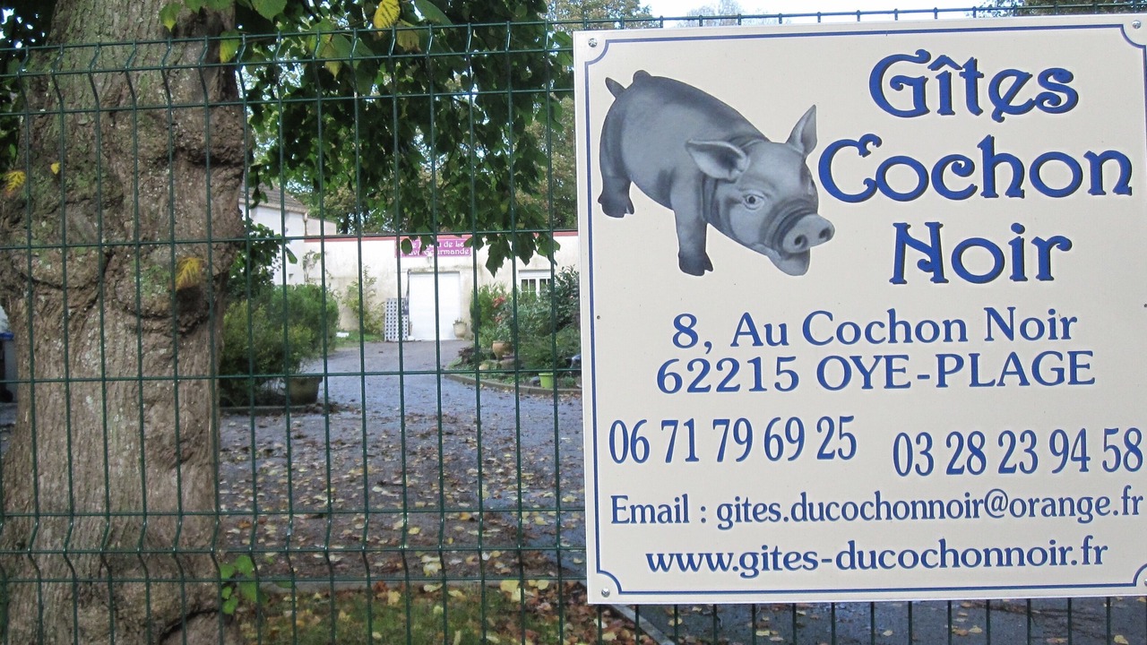 Photo of Outdoor in Oye-Plage