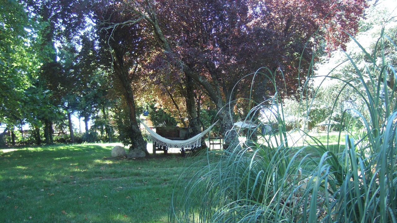 Photo of Outdoor in Saissac