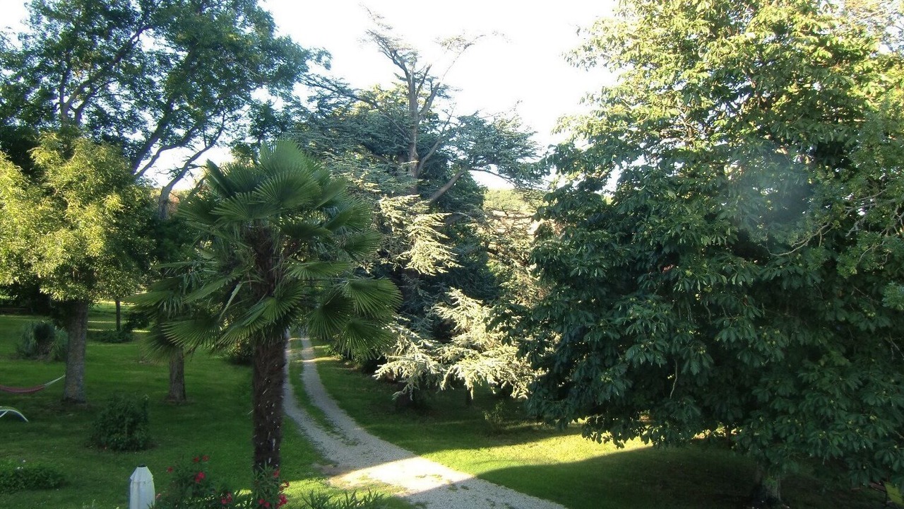 Photo of Others in Saissac