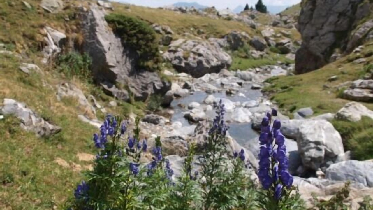 Photo of Outdoor in La Fueva