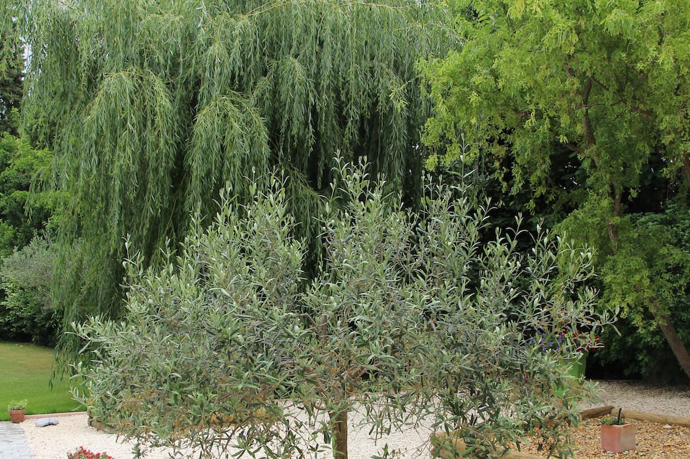 Photo of Outdoor in Saint-Jean-de-Ceyrargues