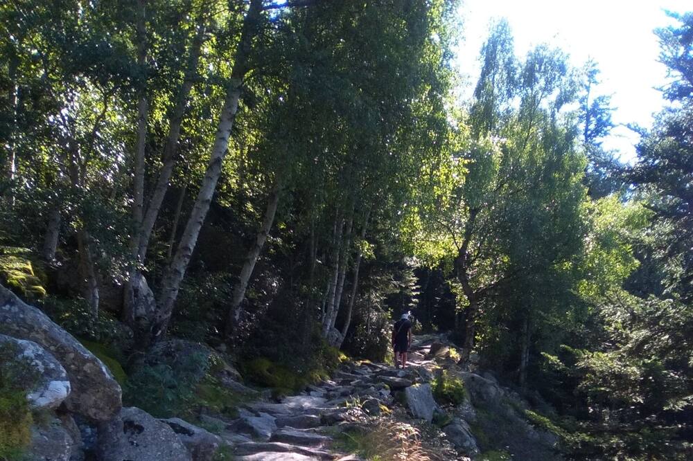 Photo of Outdoor in Adrall