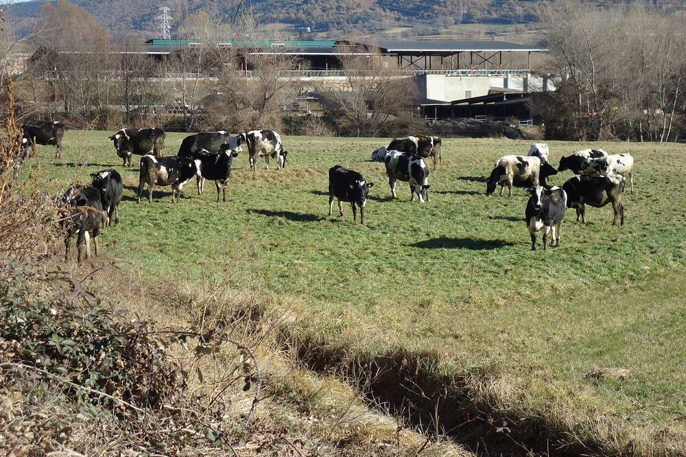 Photo of Outdoor in Adrall