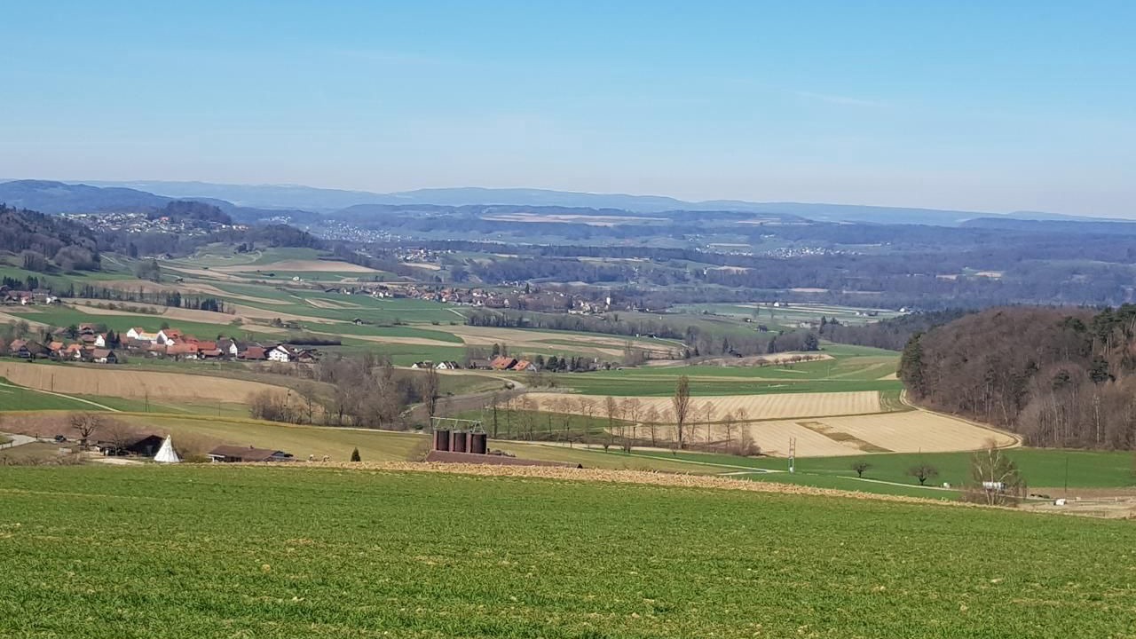 Photo of Others in Andelfingen District