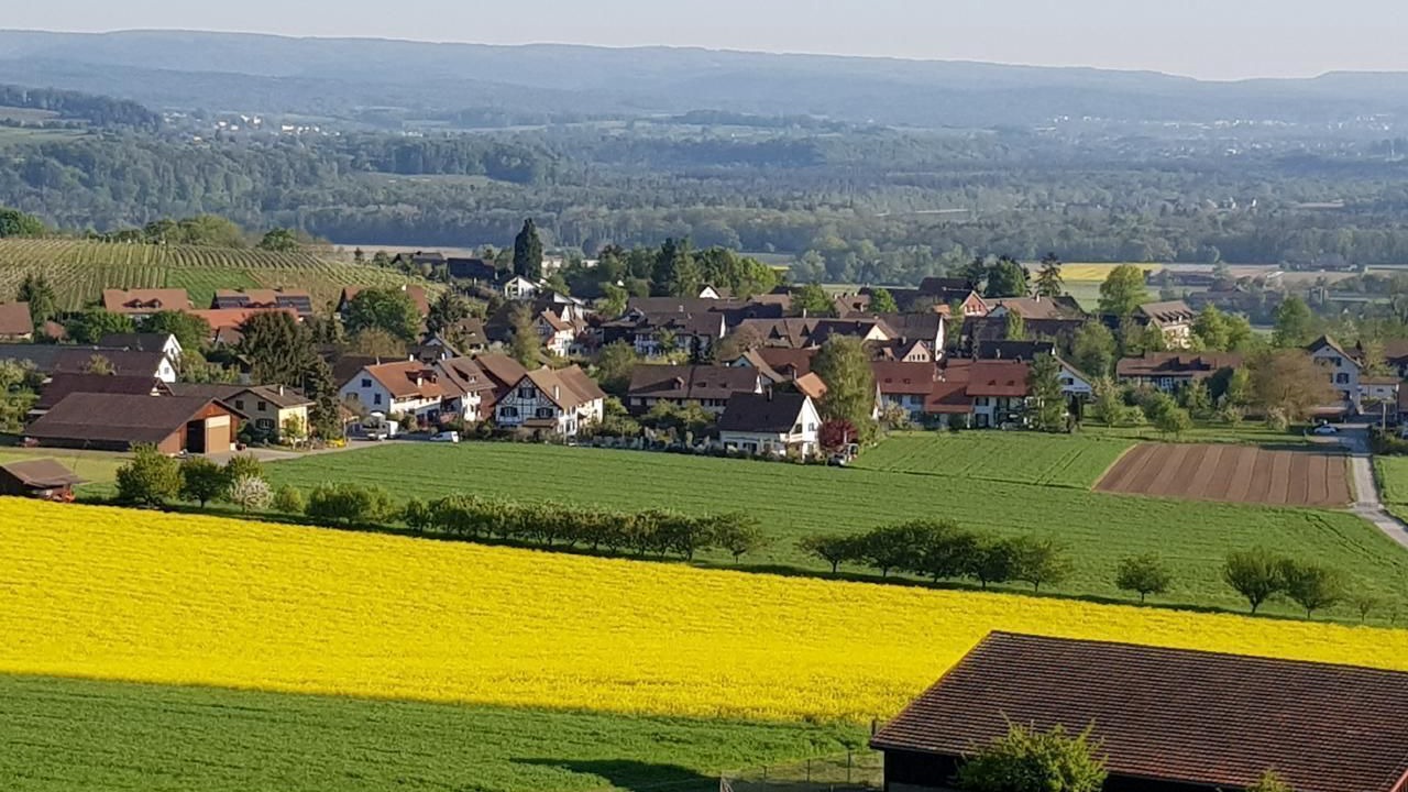 Photo of Outdoor in Andelfingen District