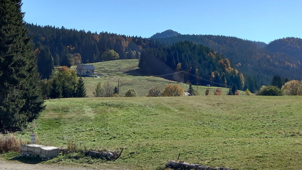 Photo of Outdoor in La Pesse