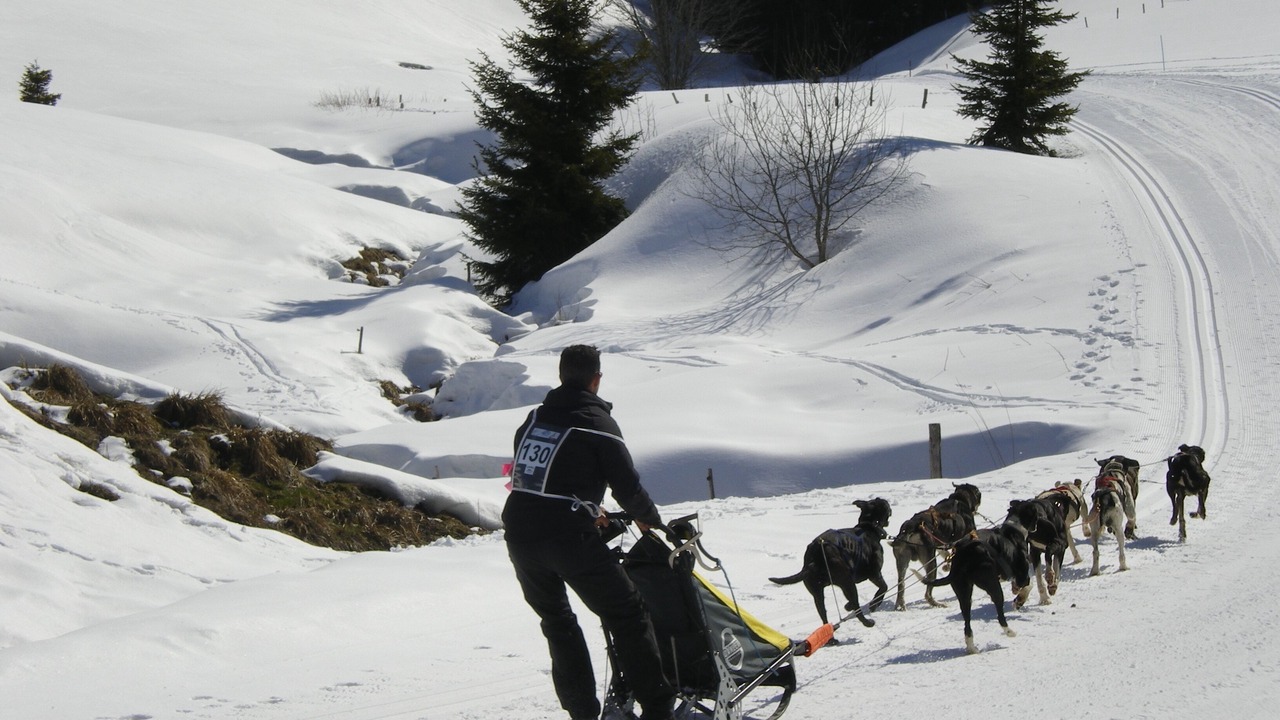 Photo of Others in La Pesse