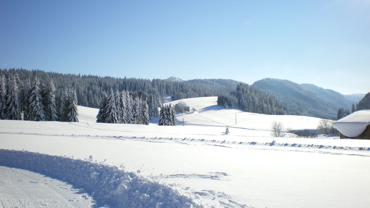 Photo of Others in La Pesse