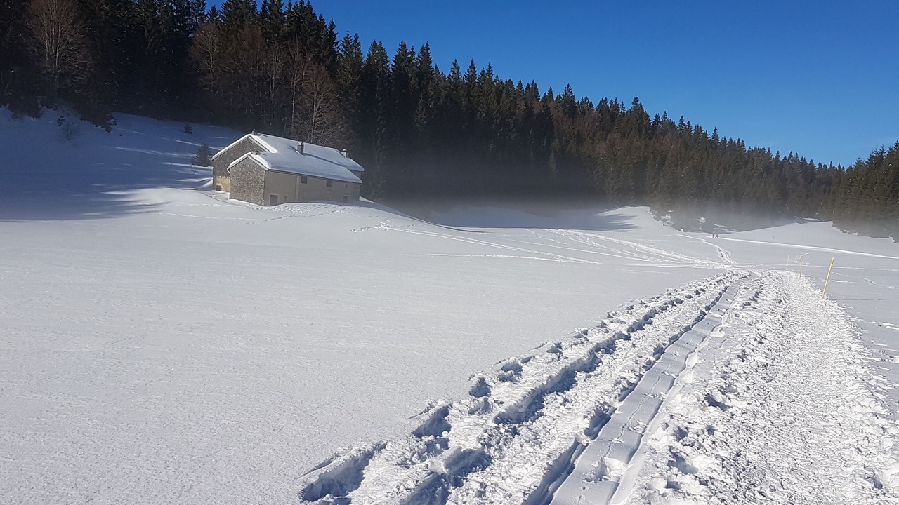 Photo of Others in La Pesse