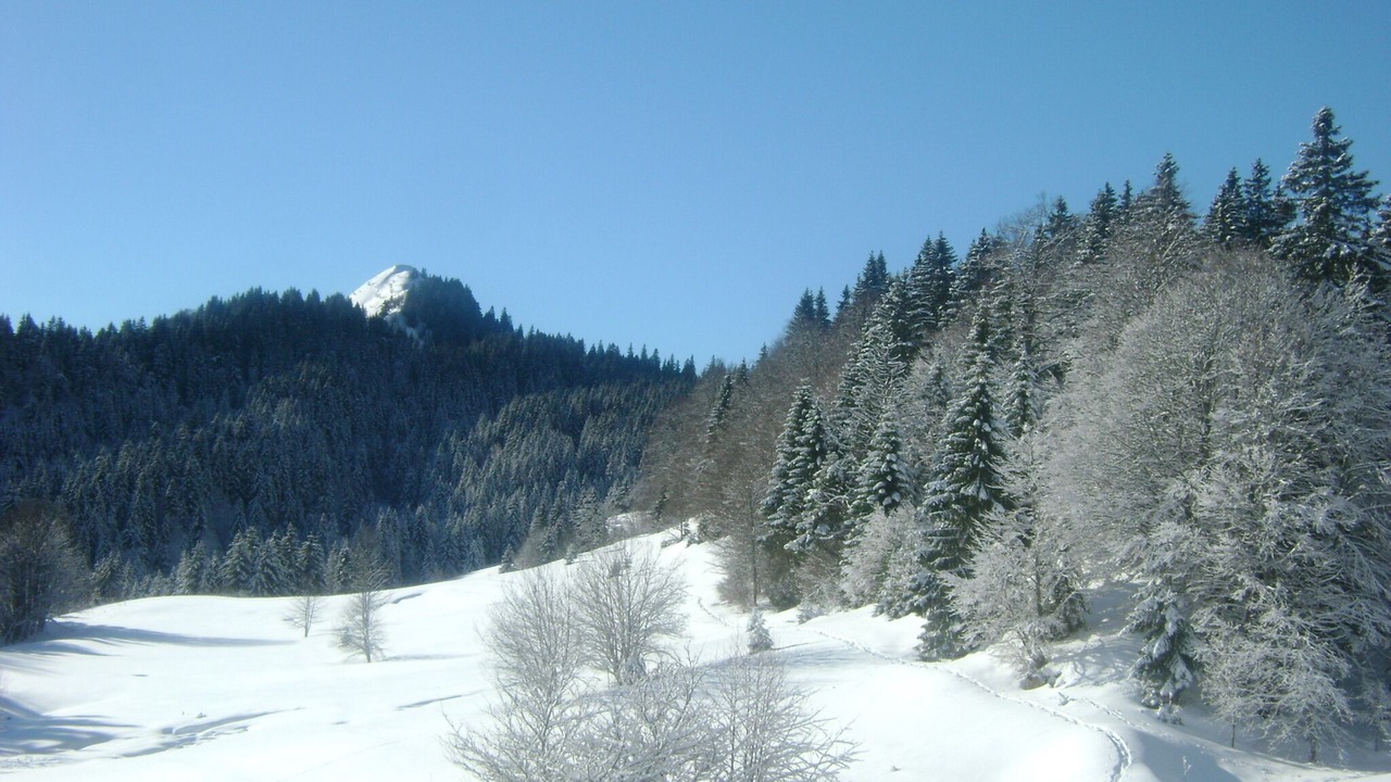 Photo of Others in La Pesse