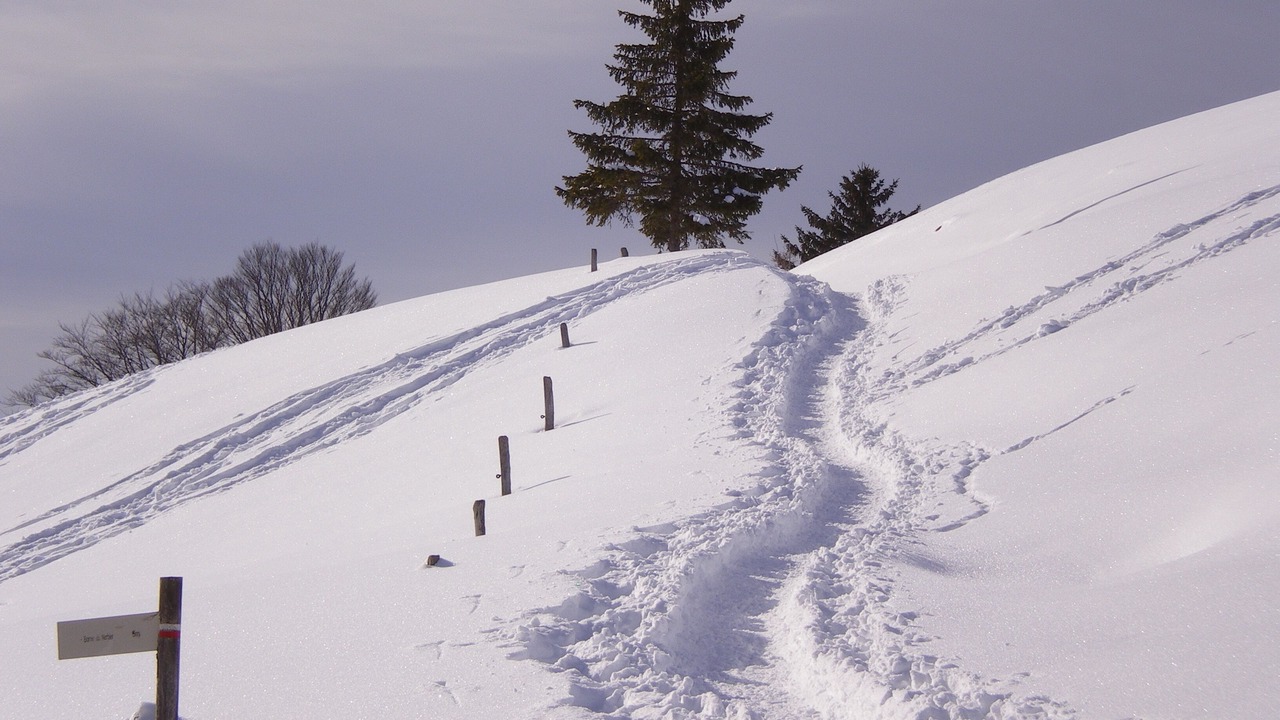 Photo of Others in La Pesse