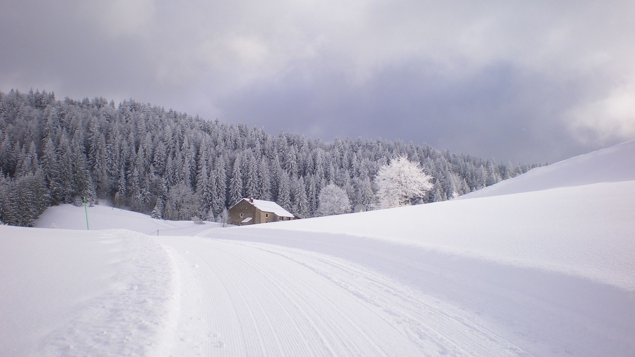 Photo of Others in La Pesse