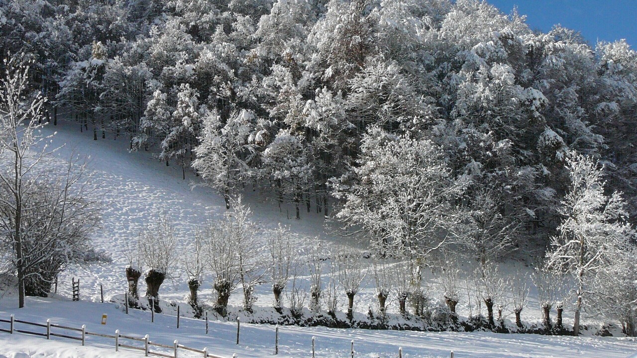 Photo of Others in Sainte-Marie-de-Campan