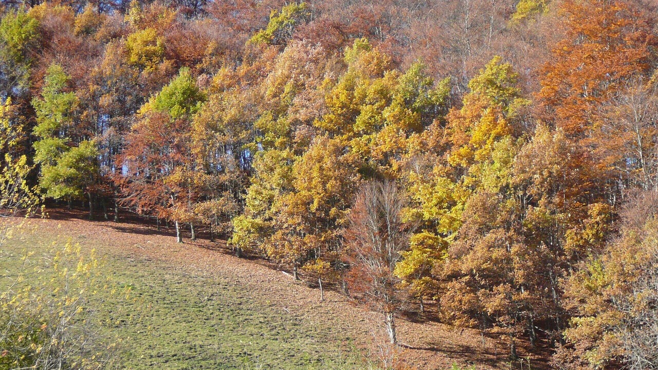Photo of Outdoor in Sainte-Marie-de-Campan