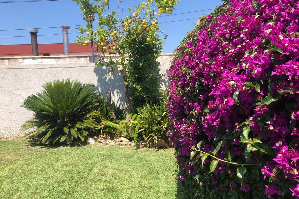 Photo of Outdoor in Vinaros