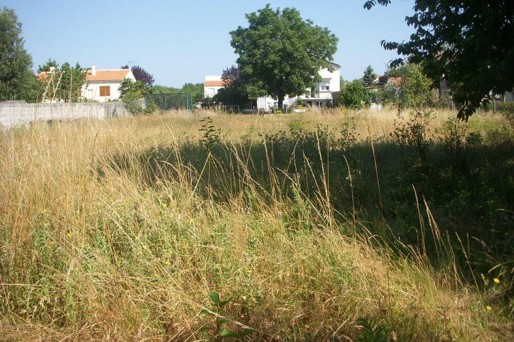Photo of Outdoor in St Benoist-sur-Mer