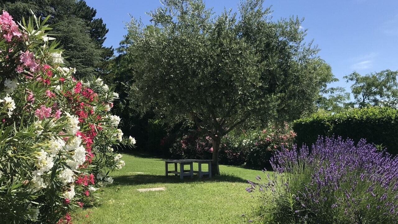 Photo of Outdoor in Savasse