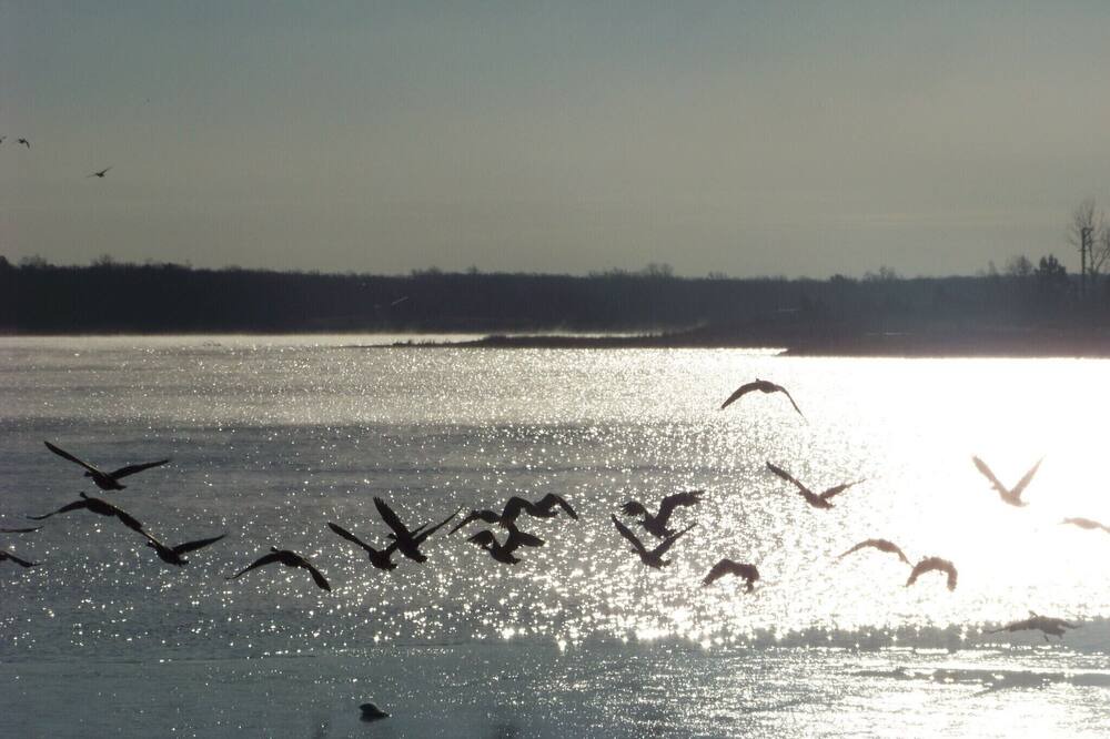 Photo of Others in Shawnee