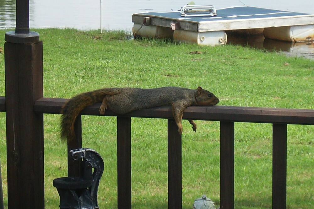 Photo of Others in Shawnee