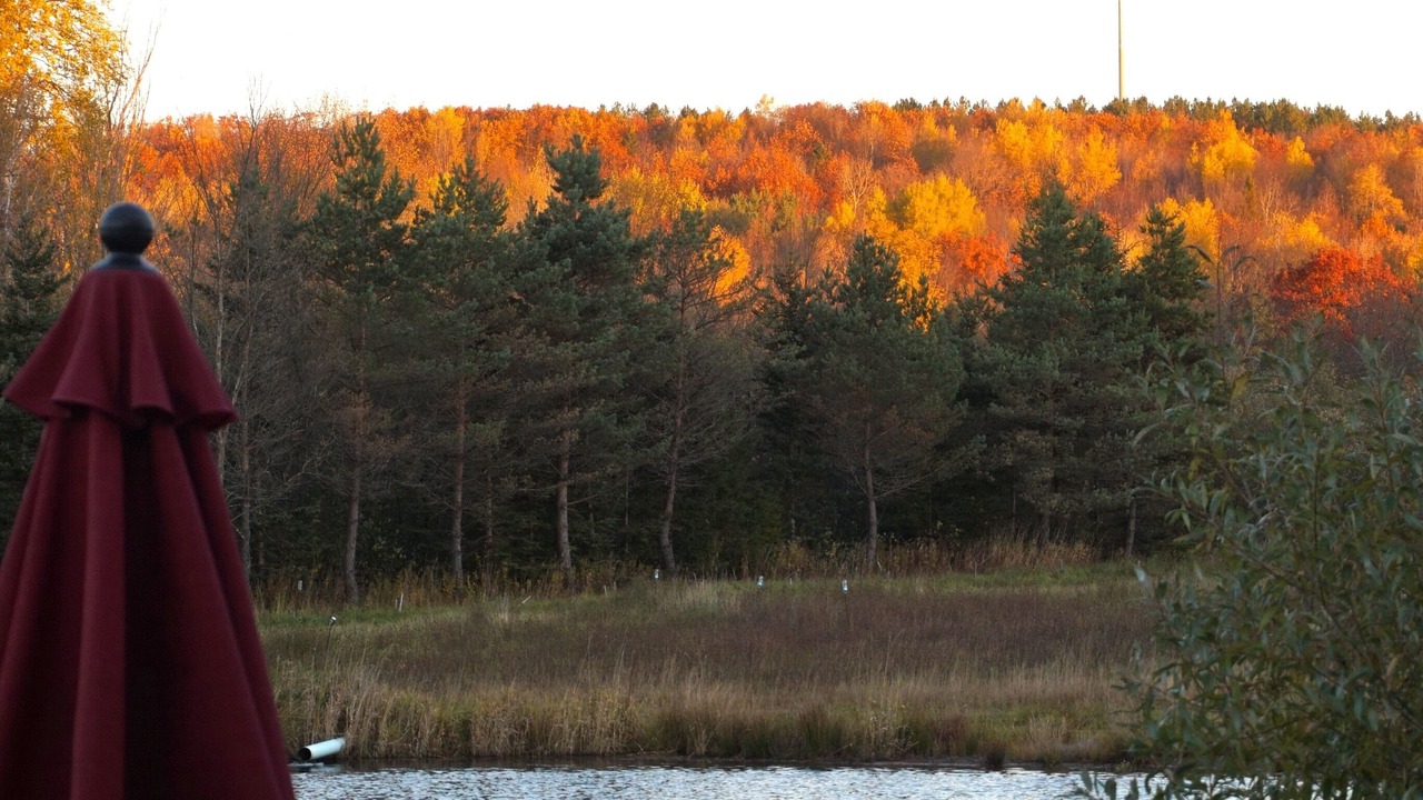 Photo of Outdoor in Ironwood