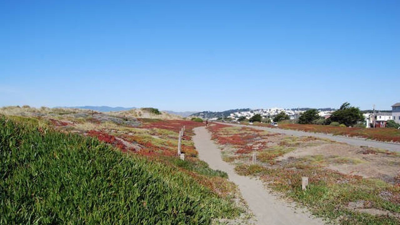 Photo of Outdoor in Outer Sunset