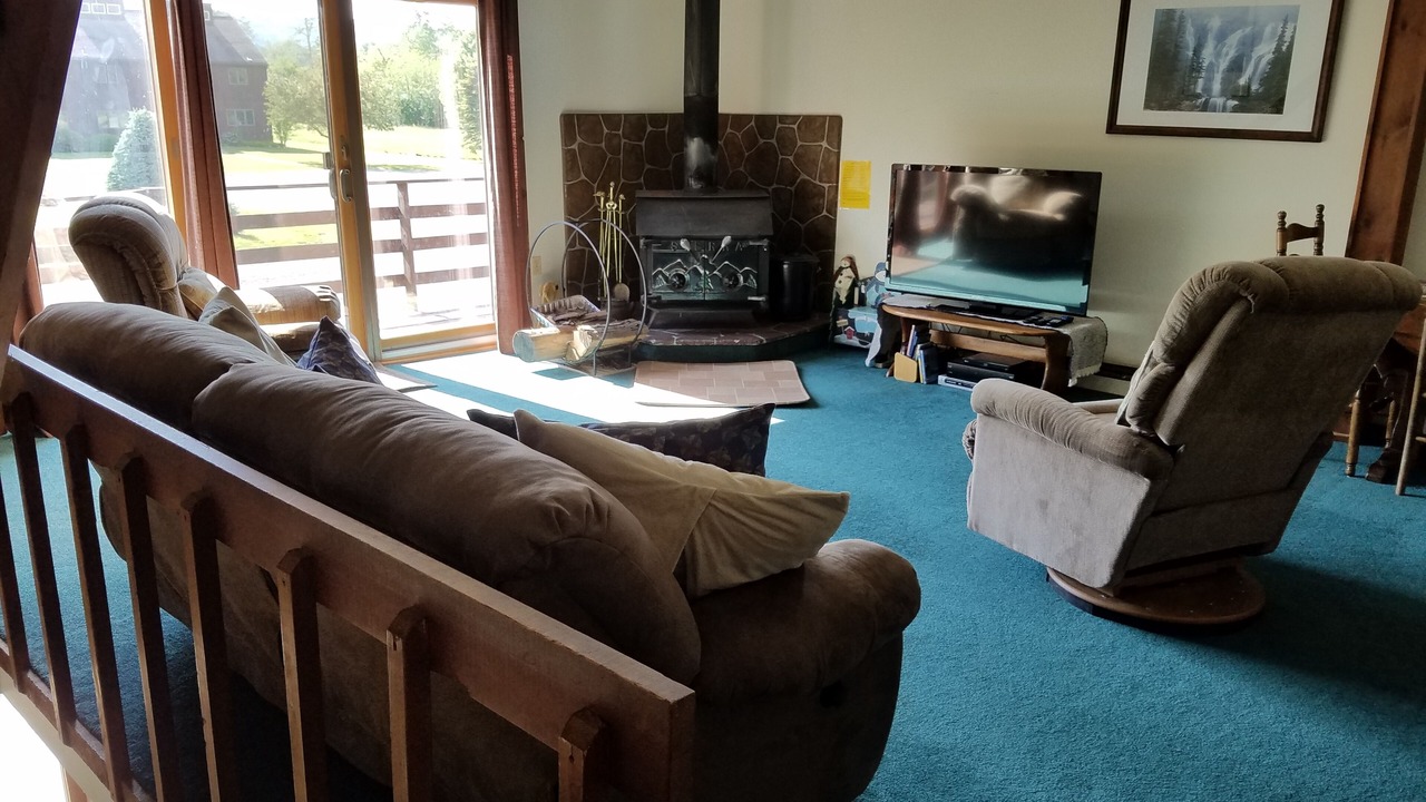 Photo of Livingroom in Swain