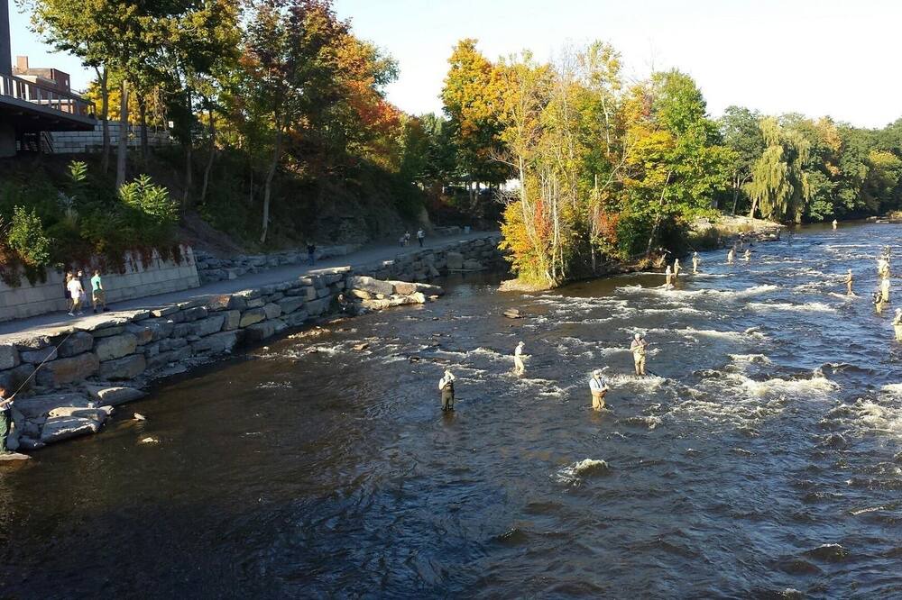 Photo of Others in Pulaski