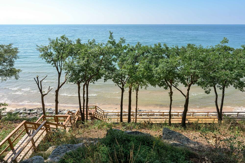 Photo of Others in Point Abino