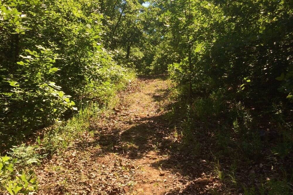 Photo of Outdoor in Skiatook
