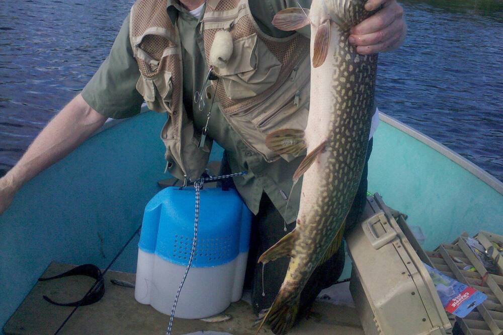 Photo of Others in Saratoga Springs